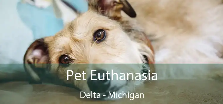 Pet Euthanasia Delta - Michigan