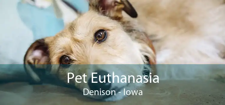 Pet Euthanasia Denison - Iowa