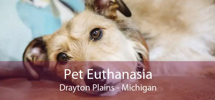Pet Euthanasia Drayton Plains - Michigan