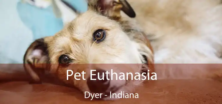 Pet Euthanasia Dyer - Indiana