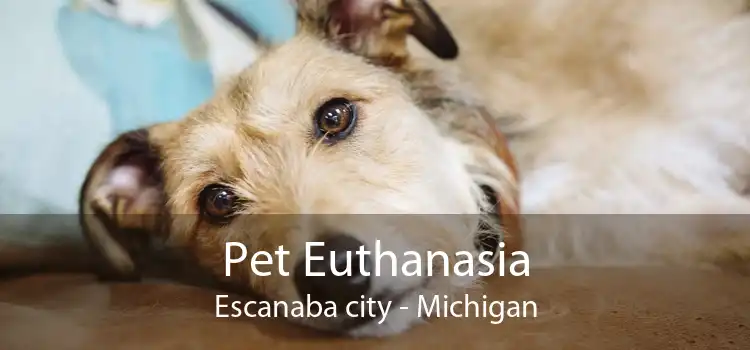 Pet Euthanasia Escanaba city - Michigan