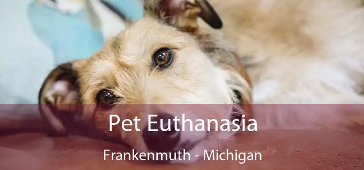 Pet Euthanasia Frankenmuth - Michigan