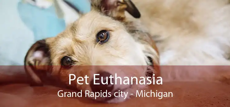 Pet Euthanasia Grand Rapids city - Michigan