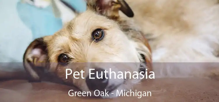 Pet Euthanasia Green Oak - Michigan