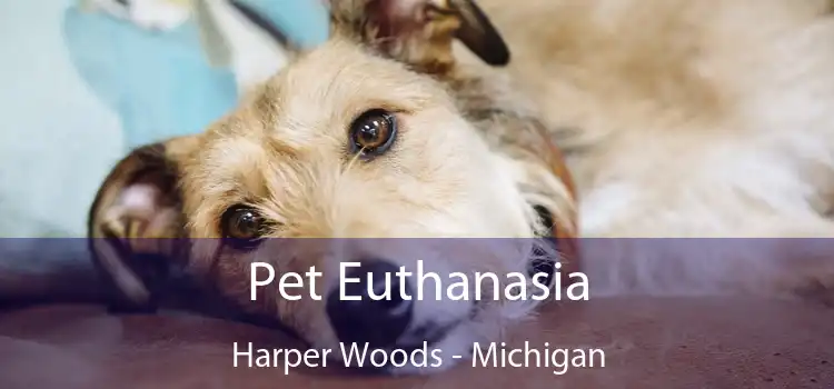 Pet Euthanasia Harper Woods - Michigan