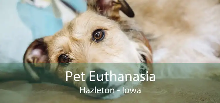 Pet Euthanasia Hazleton - Iowa