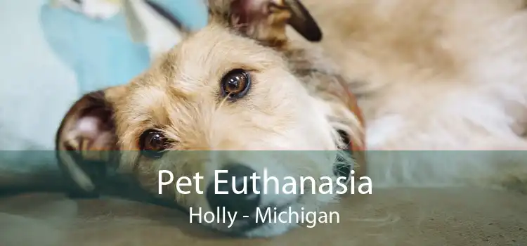 Pet Euthanasia Holly - Michigan