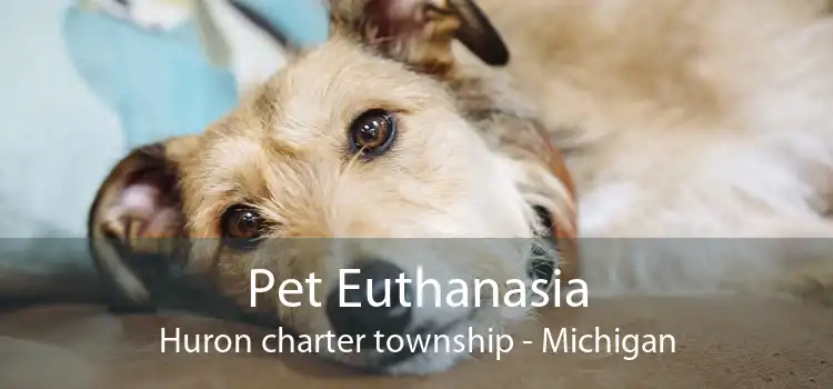 Pet Euthanasia Huron charter township - Michigan