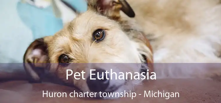 Pet Euthanasia Huron charter township - Michigan