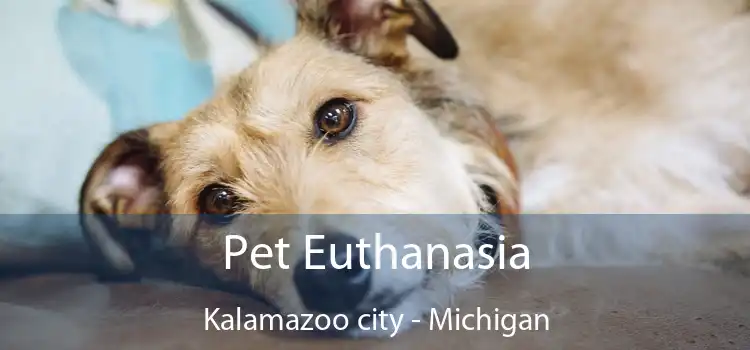 Pet Euthanasia Kalamazoo city - Michigan