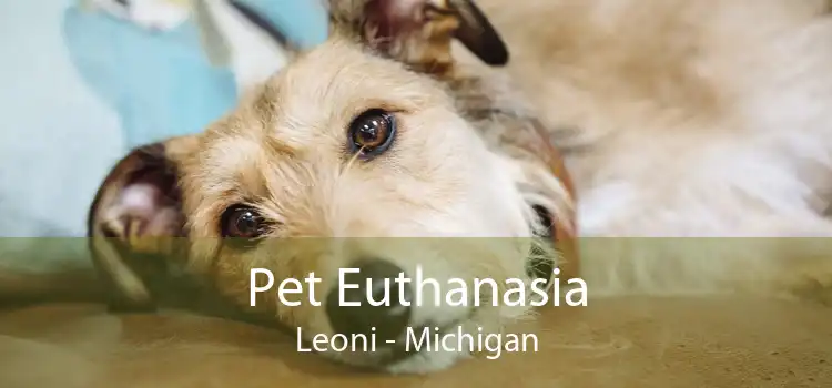 Pet Euthanasia Leoni - Michigan