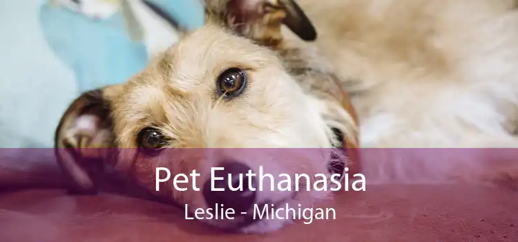 Pet Euthanasia Leslie - Michigan