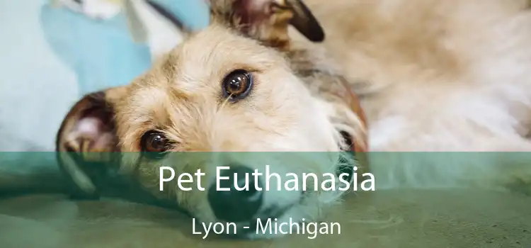 Pet Euthanasia Lyon - Michigan