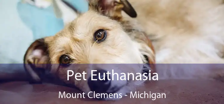 Pet Euthanasia Mount Clemens - Michigan