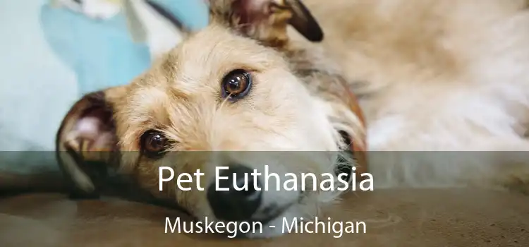 Pet Euthanasia Muskegon - Michigan