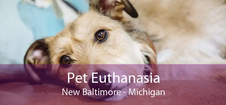 Pet Euthanasia New Baltimore - Michigan