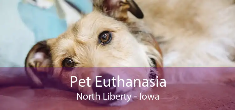 Pet Euthanasia North Liberty - Iowa