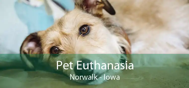 Pet Euthanasia Norwalk - Iowa