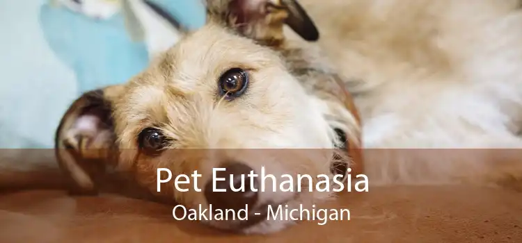 Pet Euthanasia Oakland - Michigan