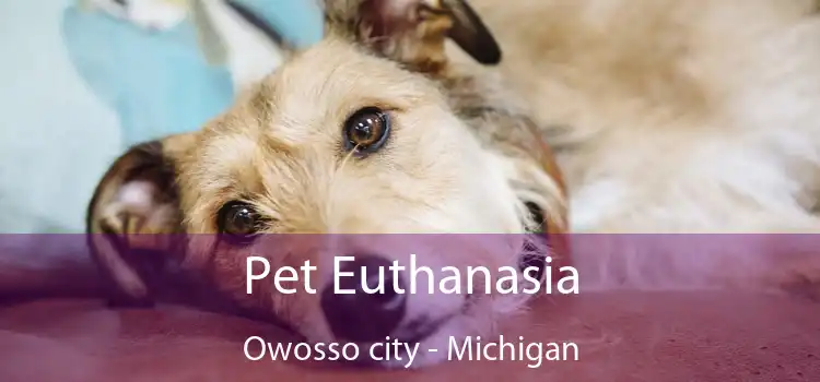 Pet Euthanasia Owosso city - Michigan