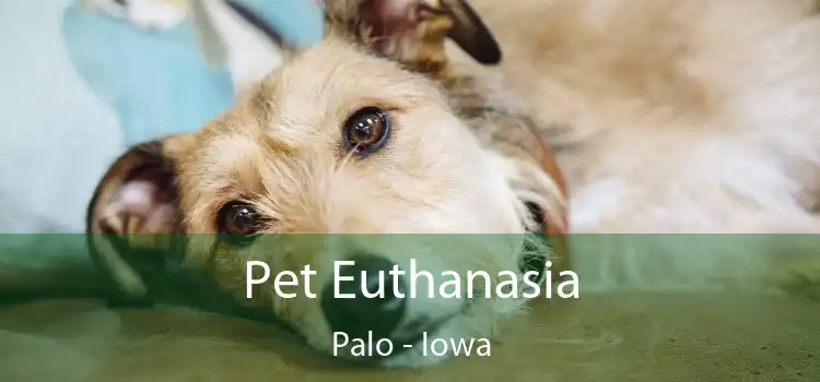 Pet Euthanasia Palo - Iowa