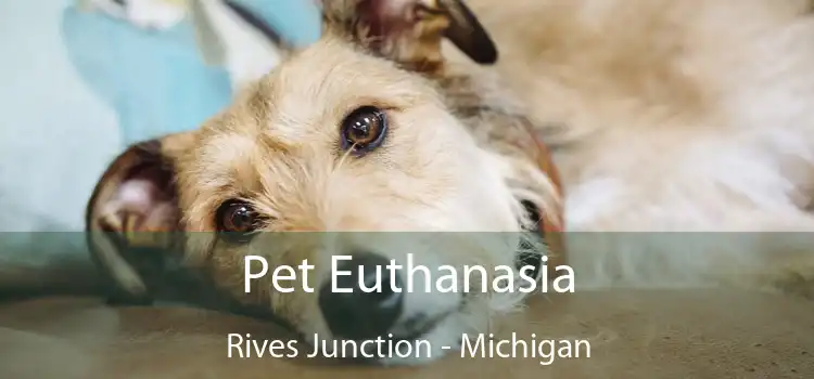 Pet Euthanasia Rives Junction - Michigan