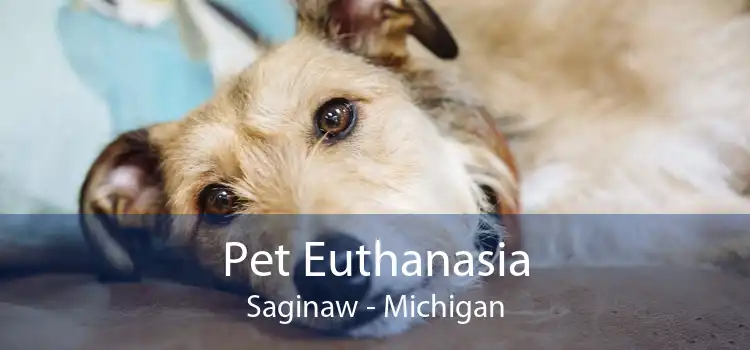 Pet Euthanasia Saginaw - Michigan