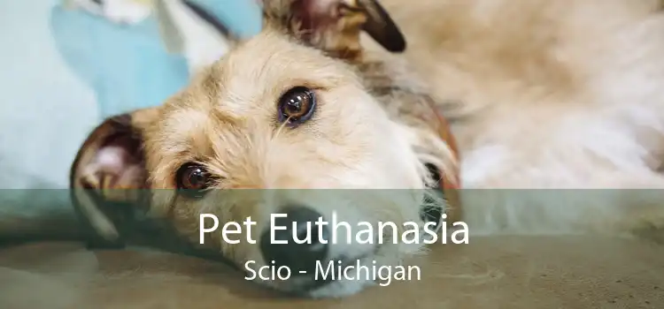 Pet Euthanasia Scio - Michigan