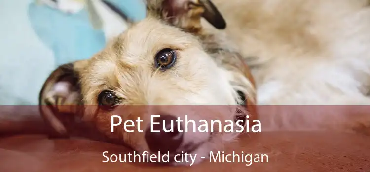 Pet Euthanasia Southfield city - Michigan