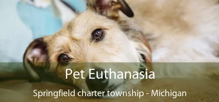 Pet Euthanasia Springfield charter township - Michigan