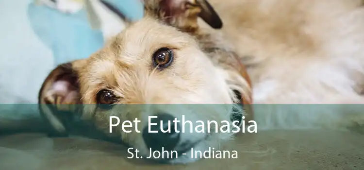 Pet Euthanasia St. John - Indiana