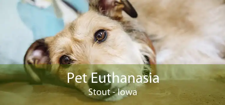 Pet Euthanasia Stout - Iowa