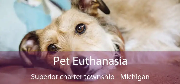 Pet Euthanasia Superior charter township - Michigan