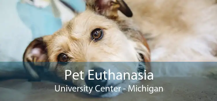 Pet Euthanasia University Center - Michigan