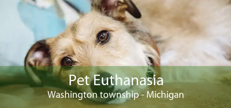 Pet Euthanasia Washington township - Michigan