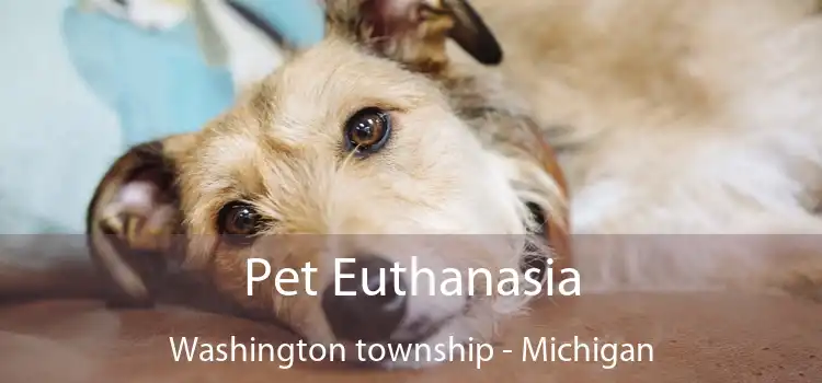 Pet Euthanasia Washington township - Michigan