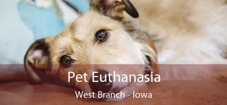 Pet Euthanasia West Branch - Iowa