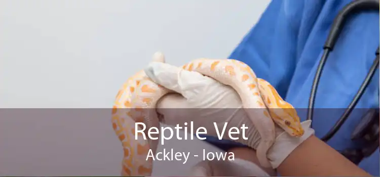 Reptile Vet Ackley - Iowa