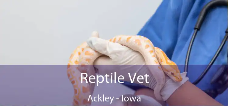 Reptile Vet Ackley - Iowa