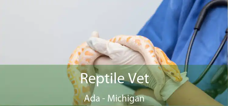 Reptile Vet Ada - Michigan