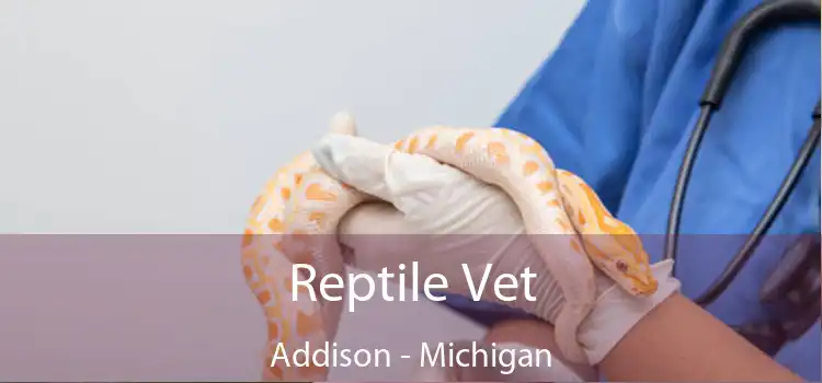 Reptile Vet Addison - Michigan