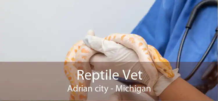 Reptile Vet Adrian city - Michigan