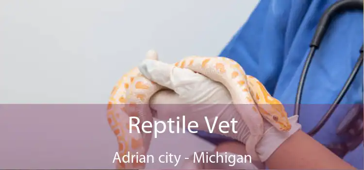 Reptile Vet Adrian city - Michigan