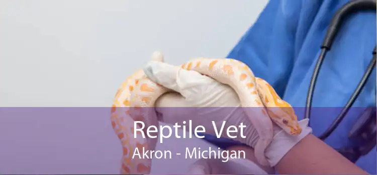 Reptile Vet Akron - Michigan