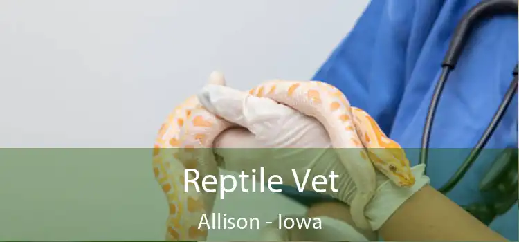 Reptile Vet Allison - Iowa