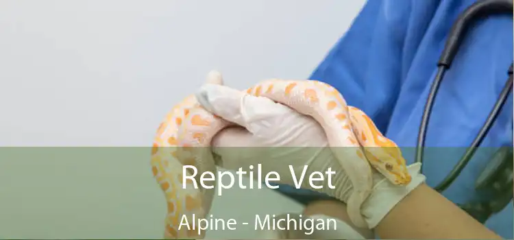 Reptile Vet Alpine - Michigan