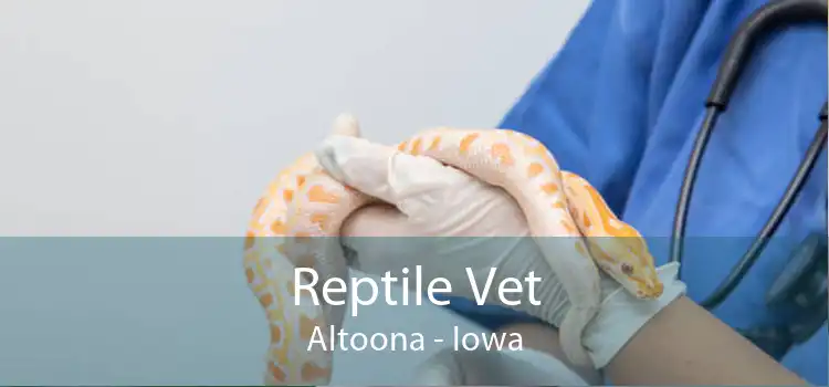 Reptile Vet Altoona - Iowa