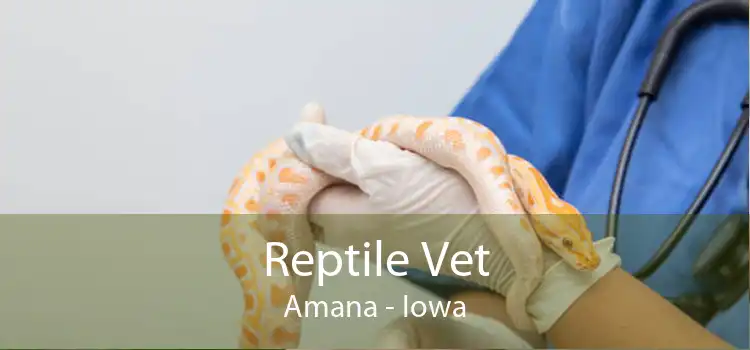 Reptile Vet Amana - Iowa