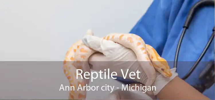 Reptile Vet Ann Arbor city - Michigan