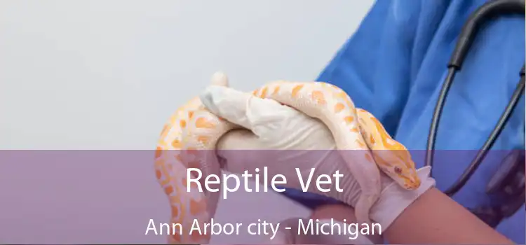 Reptile Vet Ann Arbor city - Michigan